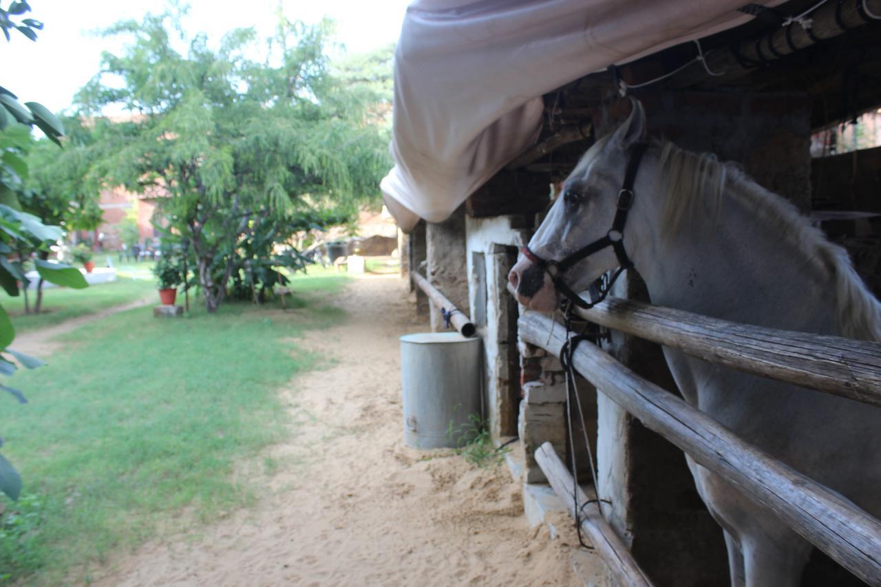 Shannu'S Ranch Inn Pushkar Exterior foto
